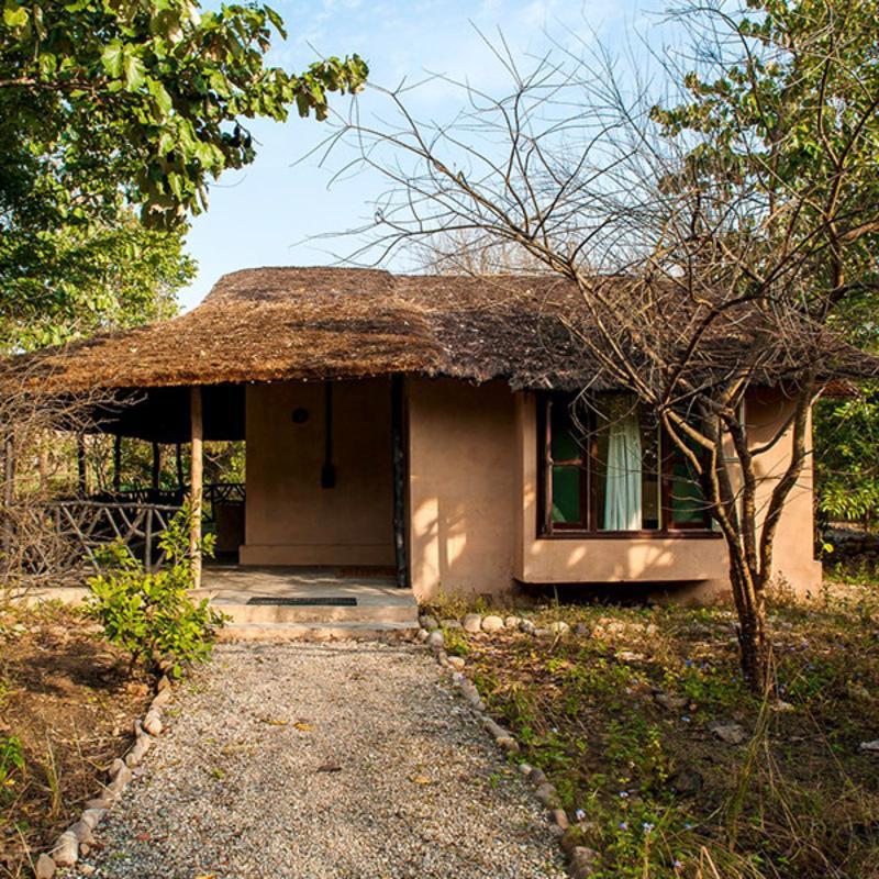 Jim'S Jungle Retreat 호텔 람나가르 외부 사진